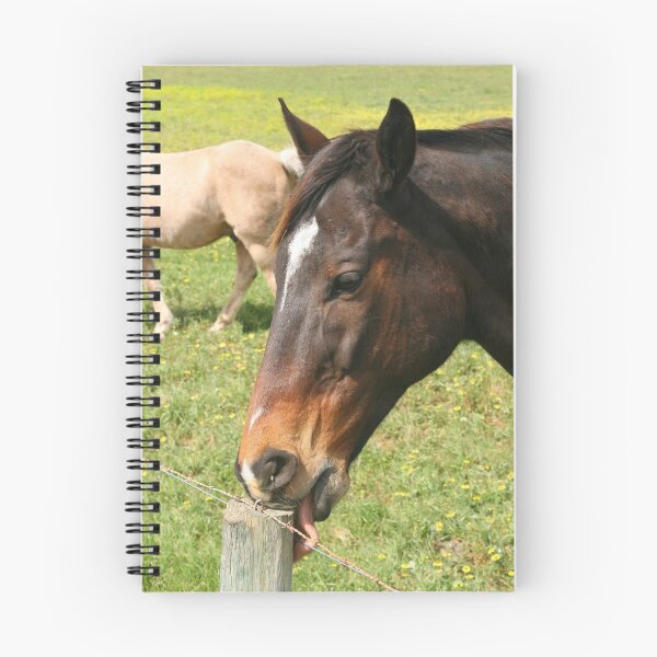 Item preview, "The Licking Post" designed and sold by Gail Mew.