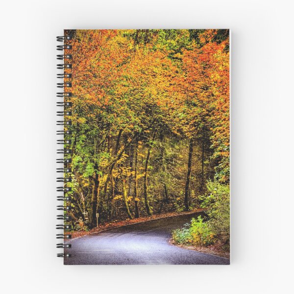Item preview, Fall Drive hdr designed and sold by Jeannie Peters.