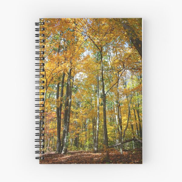Item preview, Golden Forest designed and sold by Rachel Stickney.