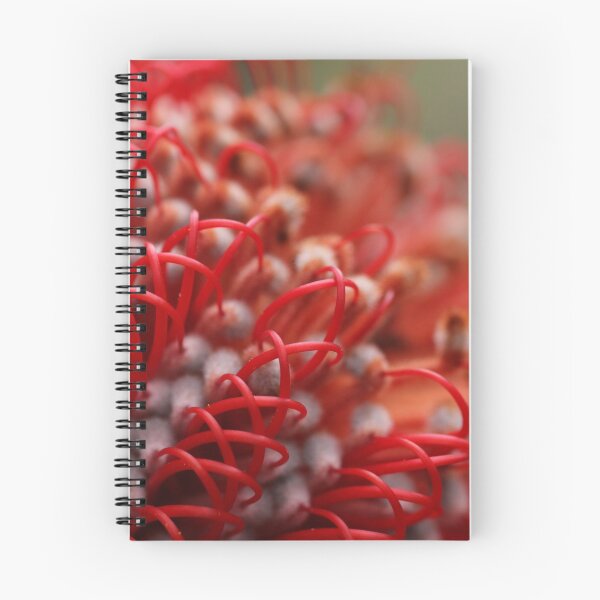 Item preview, Banksia australiana designed and sold by Bubblefrog73.
