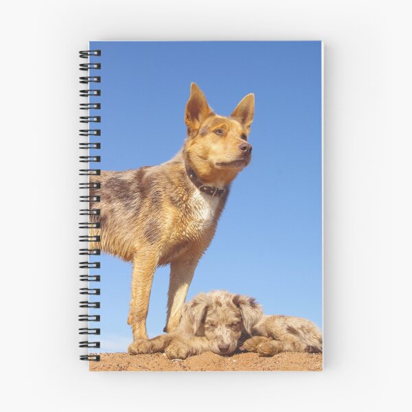 Item preview, GUARDING GINGER designed and sold by Helen Akerstrom Photography.
