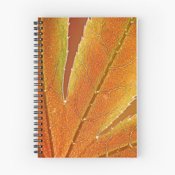 Item preview, Japanese Maple designed and sold by Curtis  Sheppard.