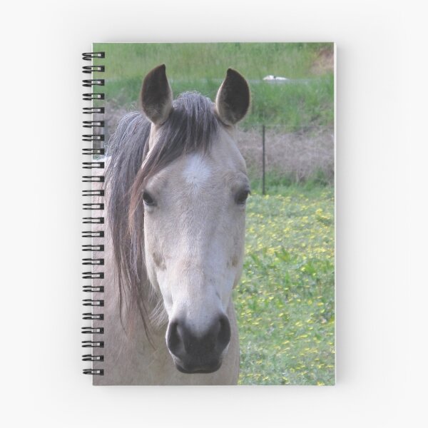 Item preview, Buttermilk Buckskin designed and sold by Skyhorse.