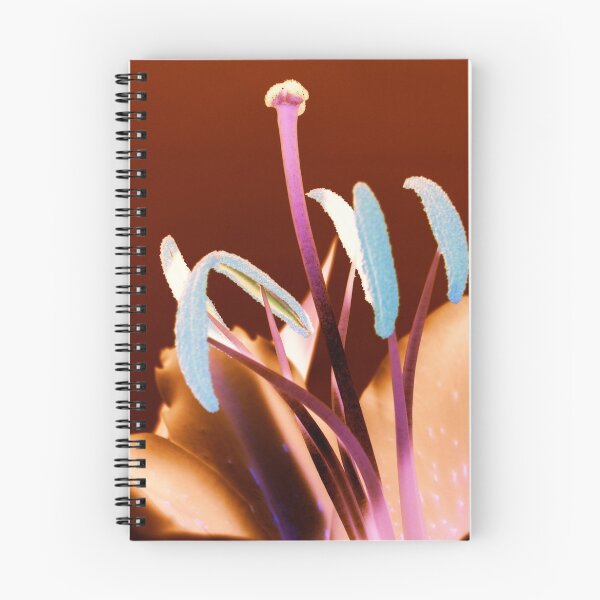 Item preview, Stargazer Lily designed and sold by Sally J Hunter.