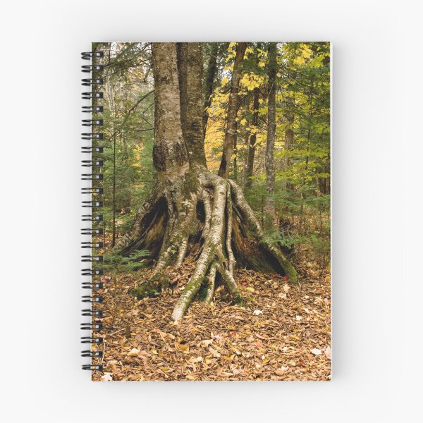 Item preview, Tree on stilts! designed and sold by Sean McConnery.