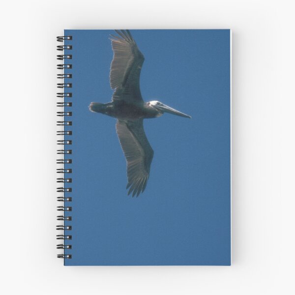Item preview, Brown Pelican flying designed and sold by Larry  Grayam.