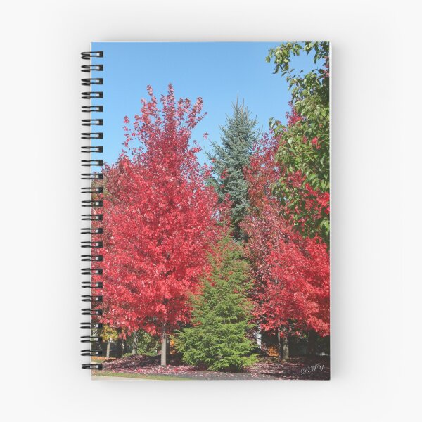 Item preview, Trees of a different colour ! designed and sold by shadyuk.