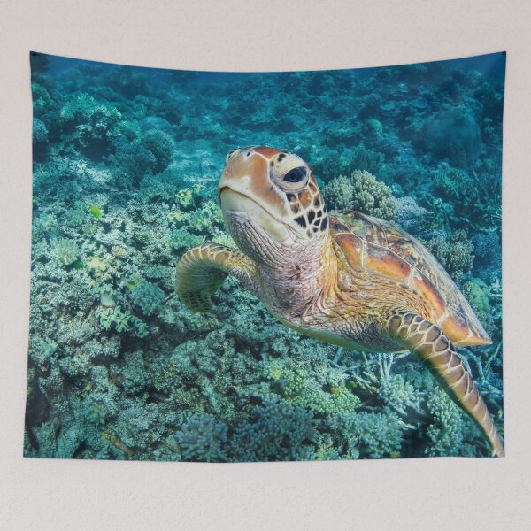 Item preview, Green Turtle on Great Barrier Reef designed and sold by Libby Sterling.