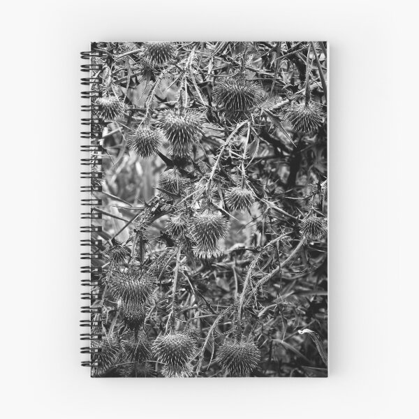 Item preview, Prickley designed and sold by MNDustyLens.