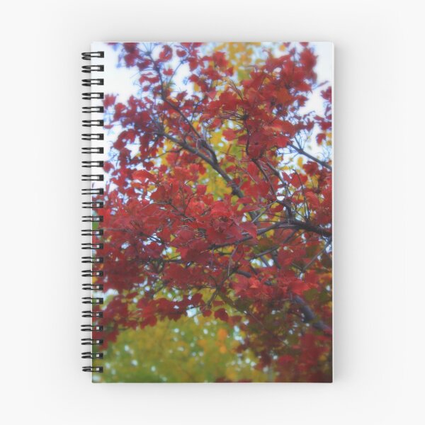 Item preview, Autumn's Hues designed and sold by Debbie Roelle.