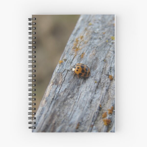 Item preview, A Bit Buggy designed and sold by Angelandspot.