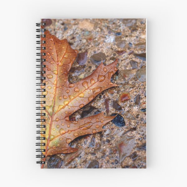 Item preview, Autumn Splendor designed and sold by tigerwings.