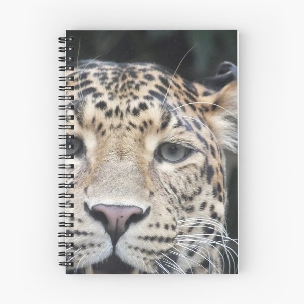 Item preview, Amur Leopard - close-up designed and sold by Martina Nicolls.