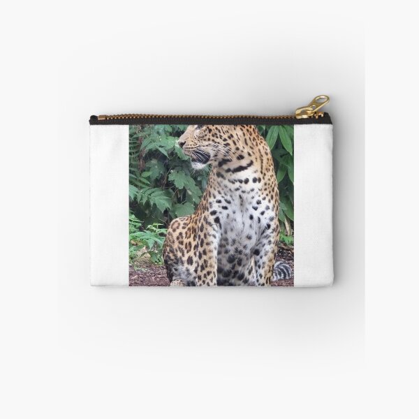 Item preview, Amur Leopard - sitting  designed and sold by Martina Nicolls.