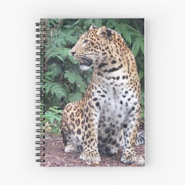 Item preview, Amur Leopard - sitting  designed and sold by Martina Nicolls.