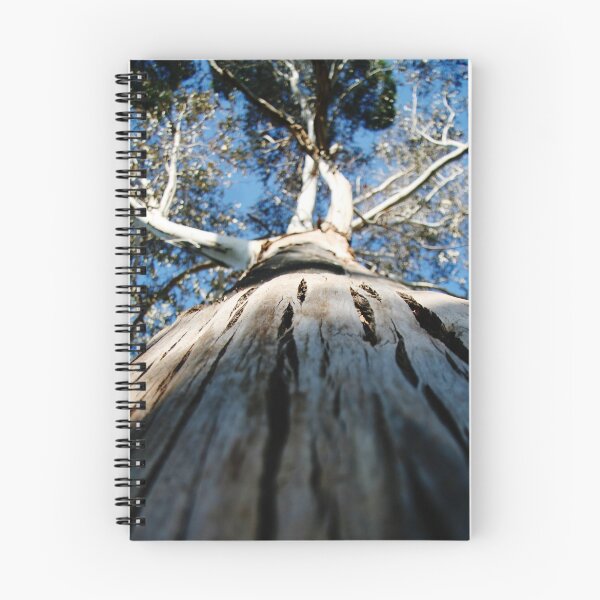Item preview, big belly tree hug designed and sold by BeckRocchi.