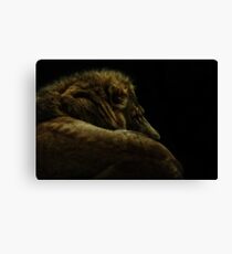 King Canvas Print