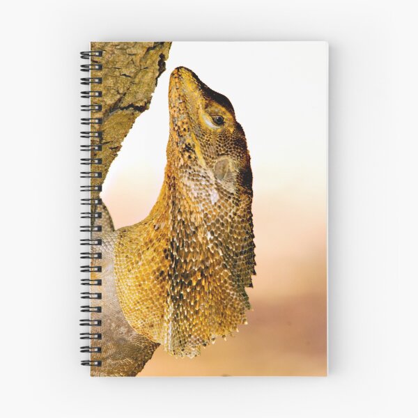 Item preview, ''Frill Necked Lizard'' designed and sold by bowenite.