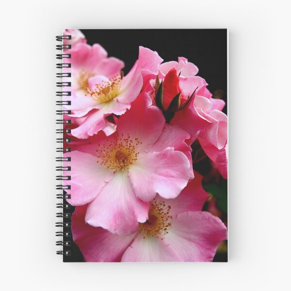 Artikelvorschau, "Pink Bouquet" entworfen und verkauft von Gail Mew.