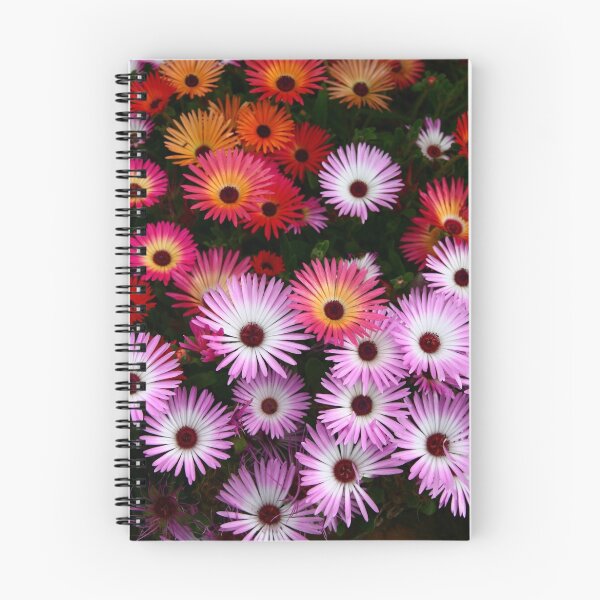 Item preview, "Sunburst" designed and sold by Gail Mew.