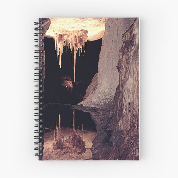 Item preview, Fairy Castle - Naracoorte Caves - S.Australia designed and sold by Michael Tapping.