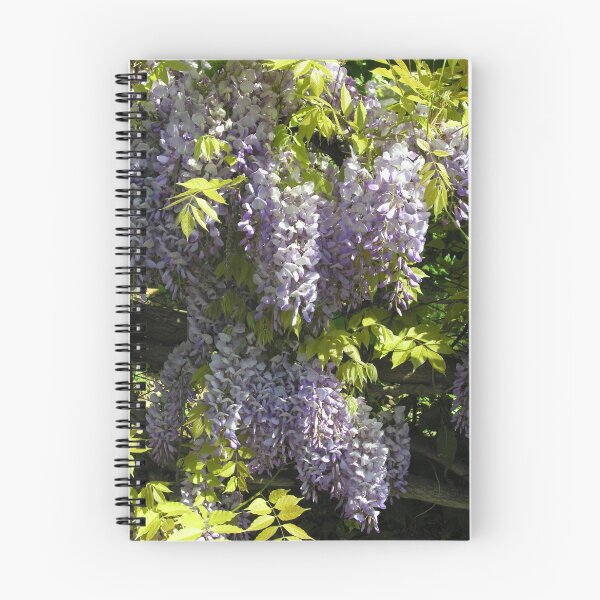 Item preview, Wisteria Sinensis in springtime Italy designed and sold by Philip Mitchell.