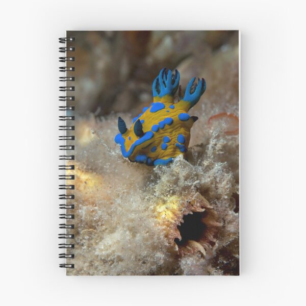 Item preview, Play-doh Slug. designed and sold by James Peake Nature Photography..