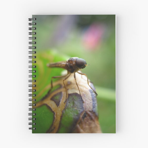 Item preview, Face Of A Flying Insect designed and sold by Vanessa Barklay.