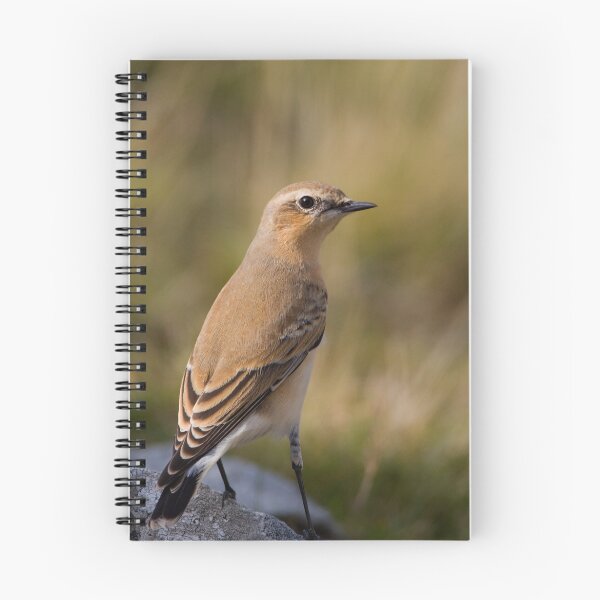 Item preview, Wheatear designed and sold by Neil Bygrave (NATURELENS).