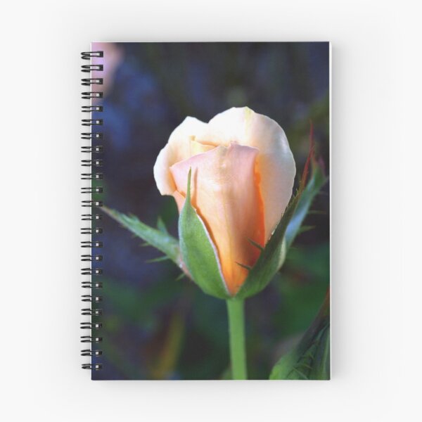 Item preview, Simplemente sublime designed and sold by B. Randi Bailey.