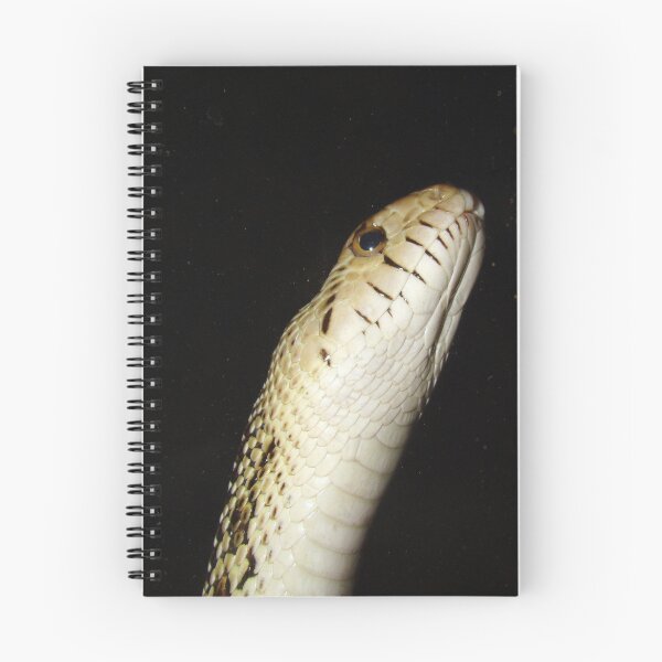 Item preview, Snake!!! designed and sold by Wanda Raines.