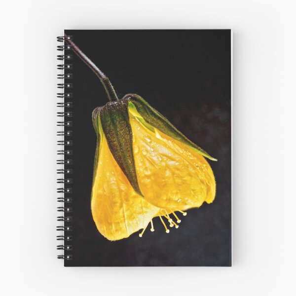 Item preview, Chinese Lantern - Yellow designed and sold by Chris Cobern.