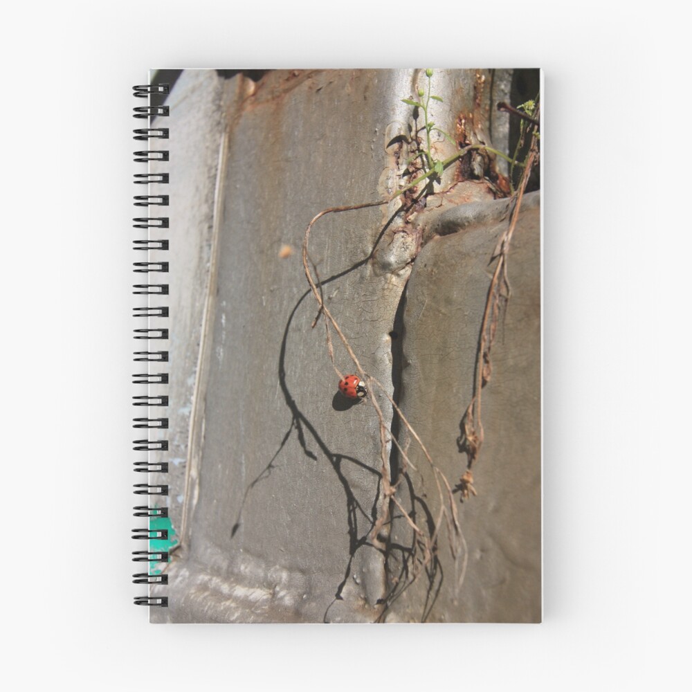 Item preview, Spiral Notebook designed and sold by Boo7.