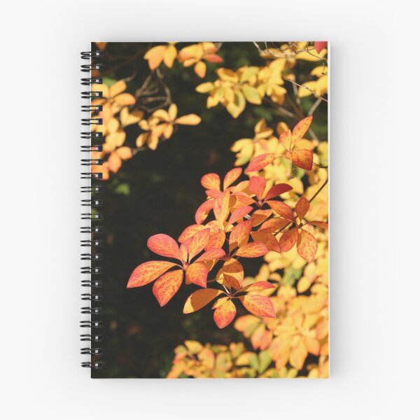 Item preview, Fall Colour designed and sold by Olga Zvereva.