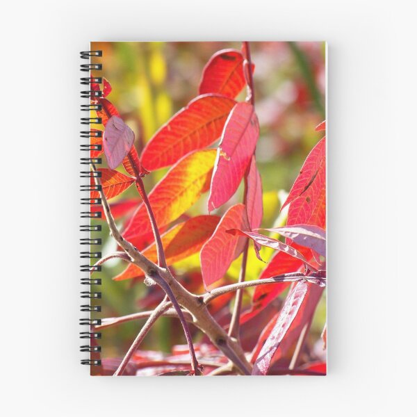 Item preview, Fall Foliage designed and sold by Dandelion Dilluvio.