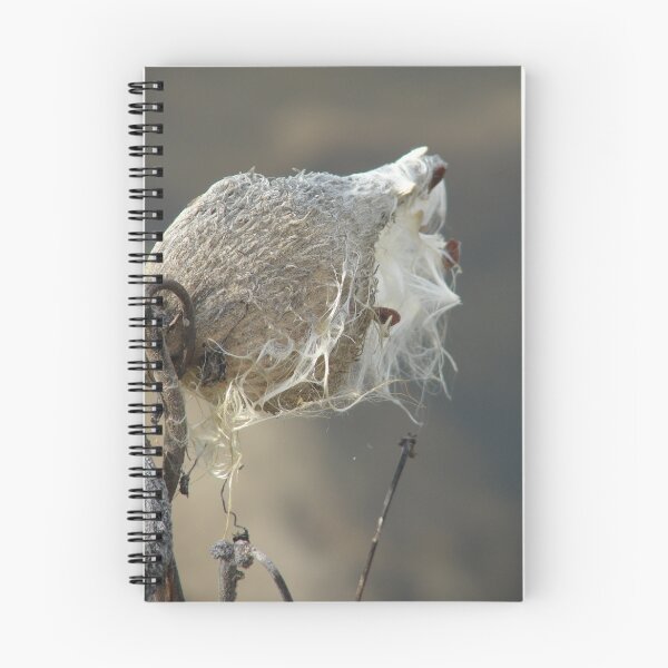 Item preview, Milkweed designed and sold by Angelandspot.