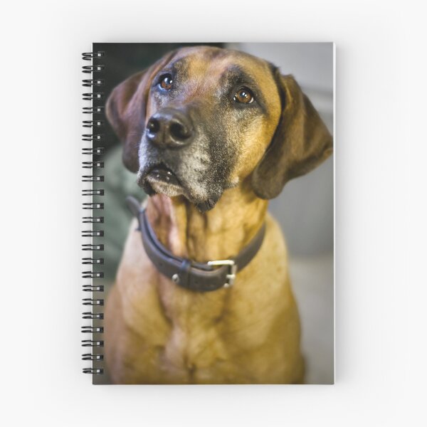Item preview, just a dog designed and sold by Dan Shalloe.