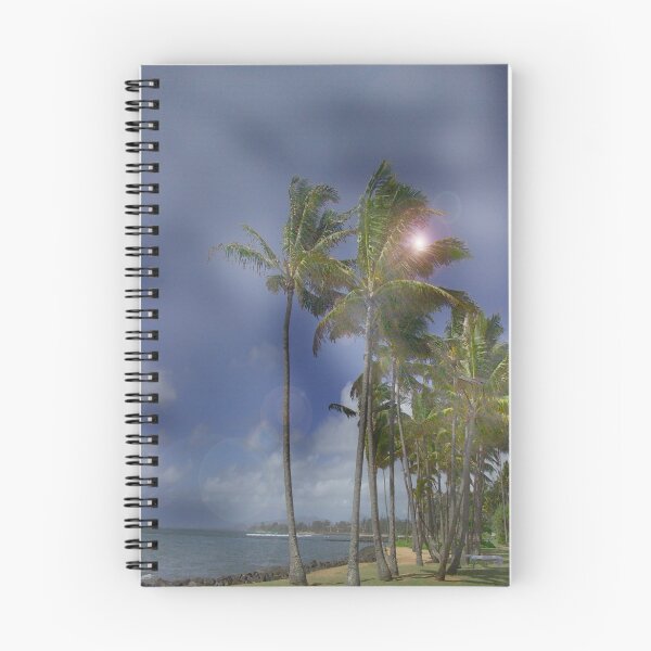 Item preview, Sunny Beach Kauai designed and sold by Dennis Begnoche.