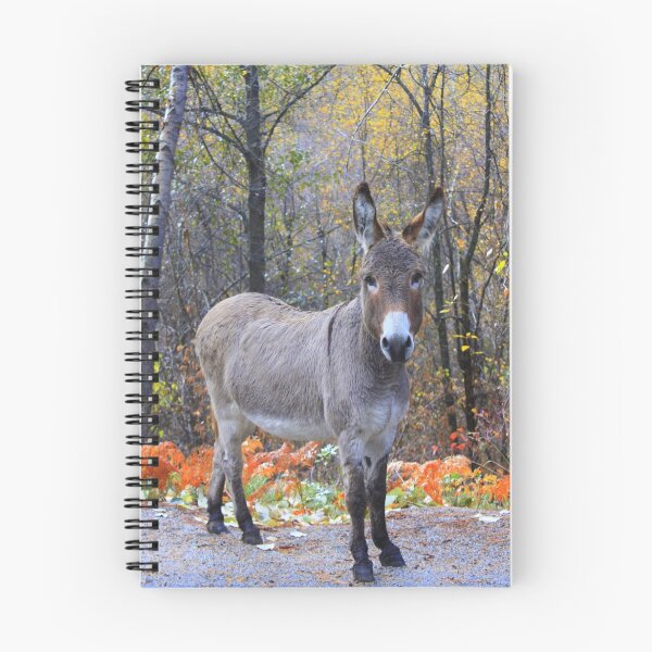 Item preview, Well Hello designed and sold by Debbie Roelle.