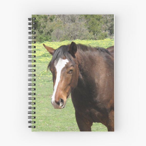 Item preview, Politically Incorrect designed and sold by Skyhorse.