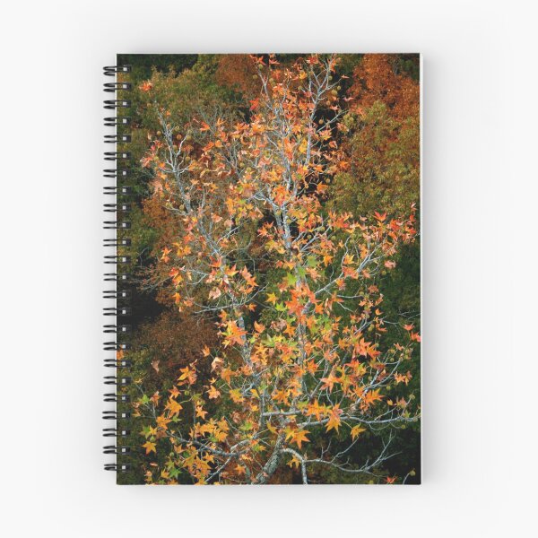 Item preview, Juxtaposition in Autumn designed and sold by Lisa Putman.