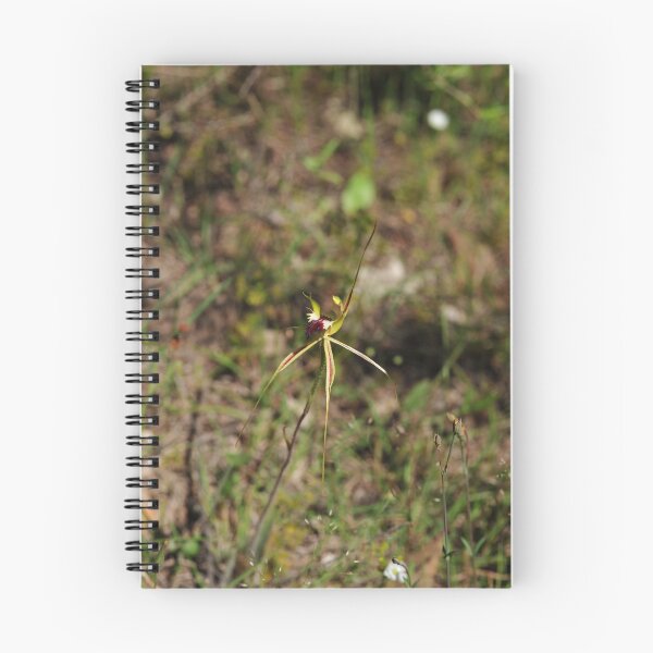 Item preview, Caladenia / Arachnorchis atrovespa designed and sold by Colin12.