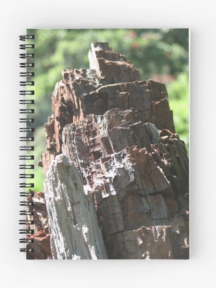 Thumbnail 1 of 3, Journal, Stumpy designed and sold by mkleinjan.