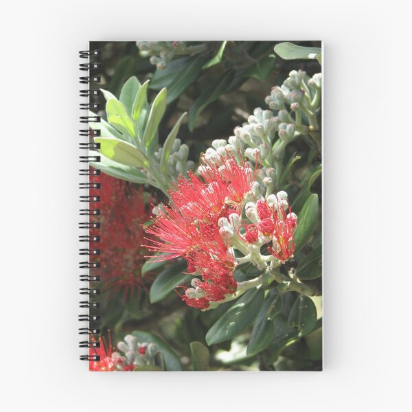 Item preview, Native Christmas Flower designed and sold by mkleinjan.