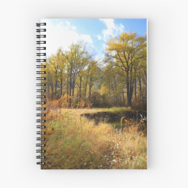Item preview, Taking it all in designed and sold by Debbie Roelle.