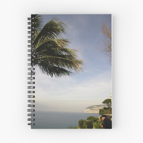 Item preview, Italian Water designed and sold by Katie Catano.