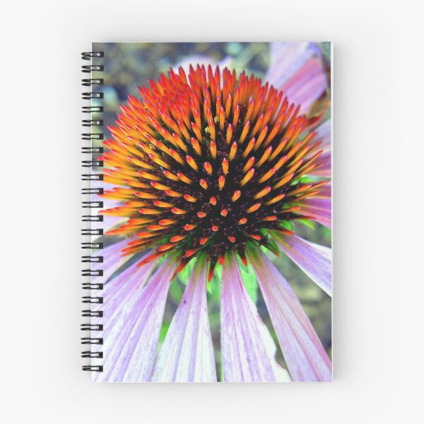 Item preview, Echinacea designed and sold by Len Bomba.