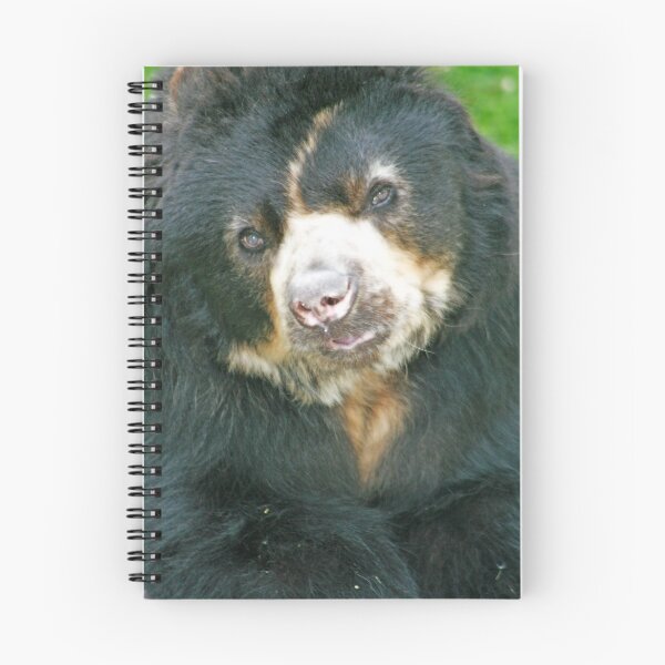 Item preview, Honny Please? designed and sold by Melissa Wuerthner.