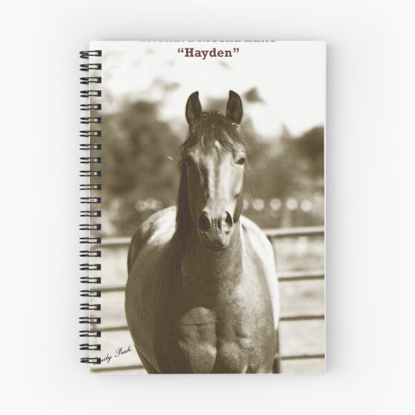 Item preview, Trusty Steed designed and sold by Emily Peak.