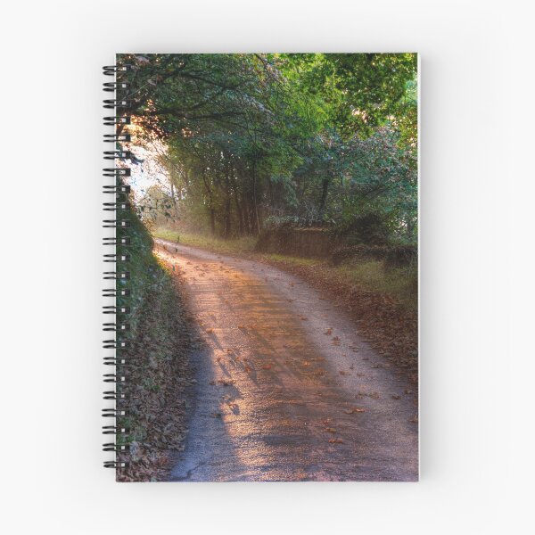 Item preview, Little Lane designed and sold by Mark Robson.